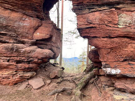 24-03-01 13-06-42 8870